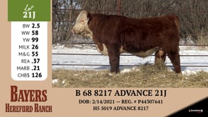 Lot #21J - B 68 8217 ADVANCE 21J