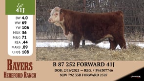 Lot #41J - B 87 252 FORWARD 41J