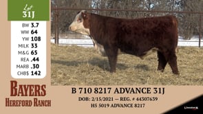 Lot #31J - B 710 8217 ADVANCE 31J