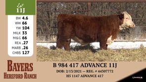 Lot #11J - B 984 417 ADVANCE 11J