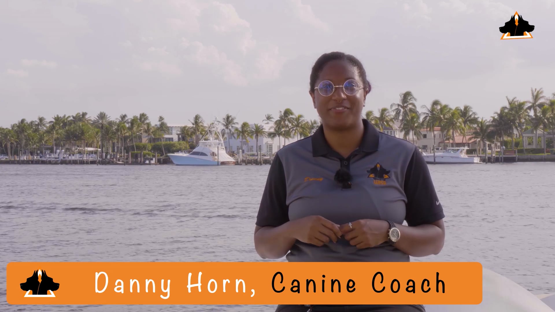 Danny Horn - Dog Training Tips, Miami FL
