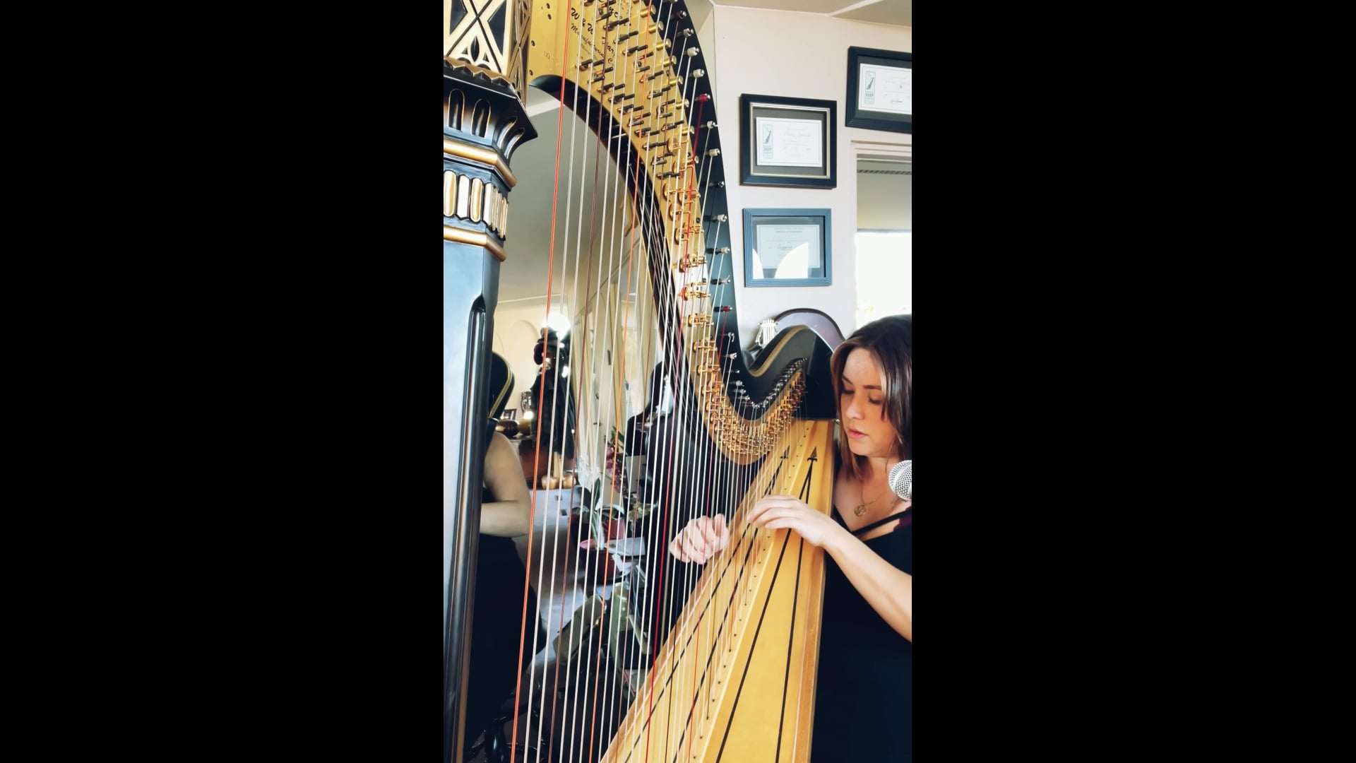 Promotional video thumbnail 3 for The Barefoot Harpist