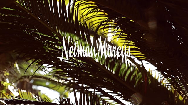 Neiman Marcus Accessories - Directors Cut2.mov