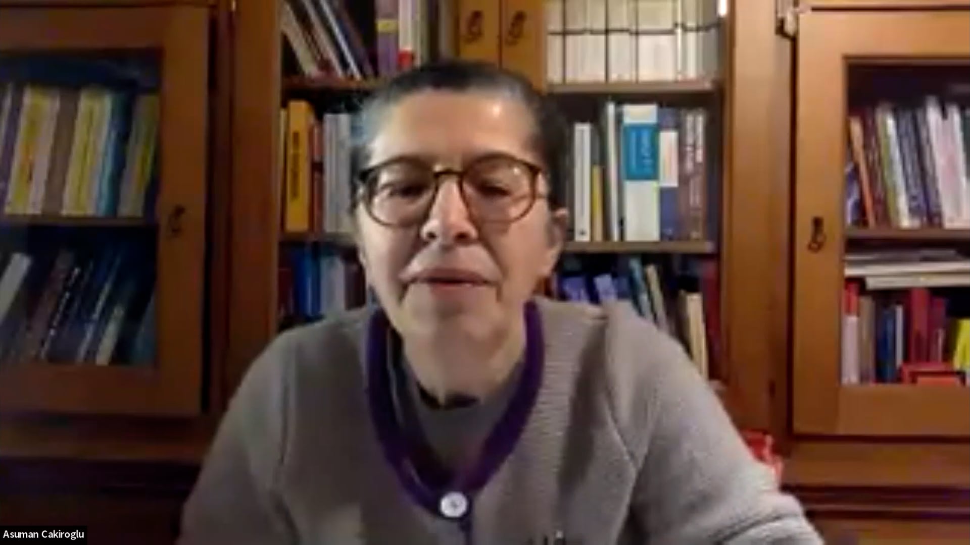 2022-01-13 - (ASP) Halk Sağlığı Koruma Projesinde Eczacının Önemi - Prof Dr Levent Akın