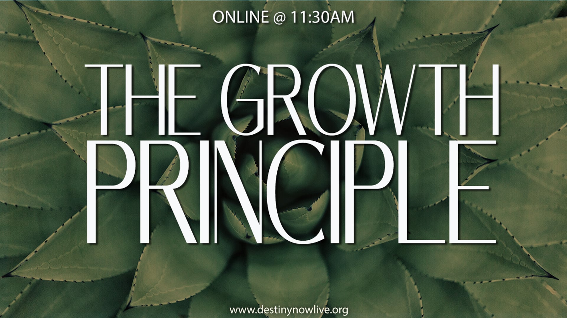 "The Growth Principle" - Online Giving: Text to Give - 910-460-3377 - Give Online @ www.destinynow.org