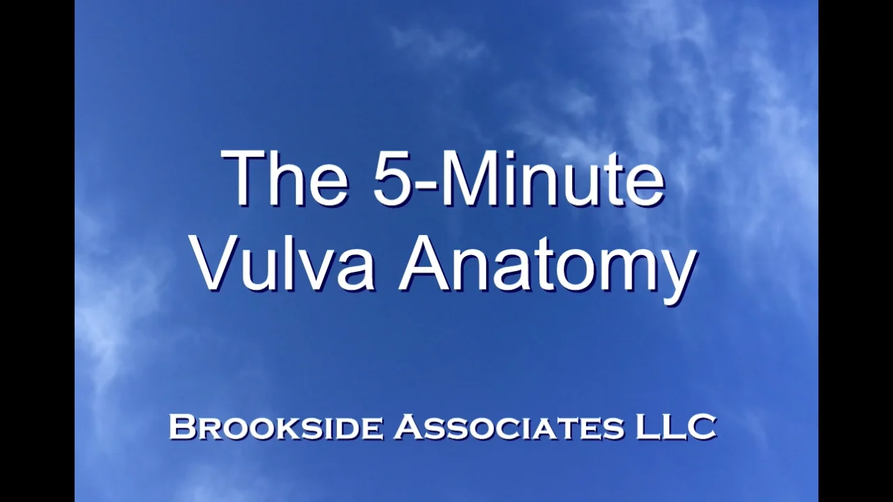 5 MINUTE VULVA ANATOMY VIDEO intelligence overview