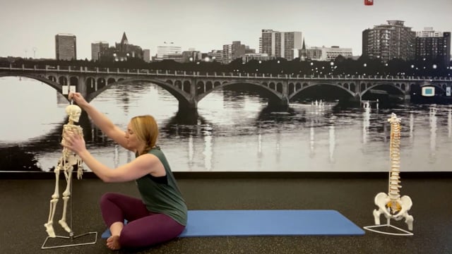 Learning About Our Upper Body