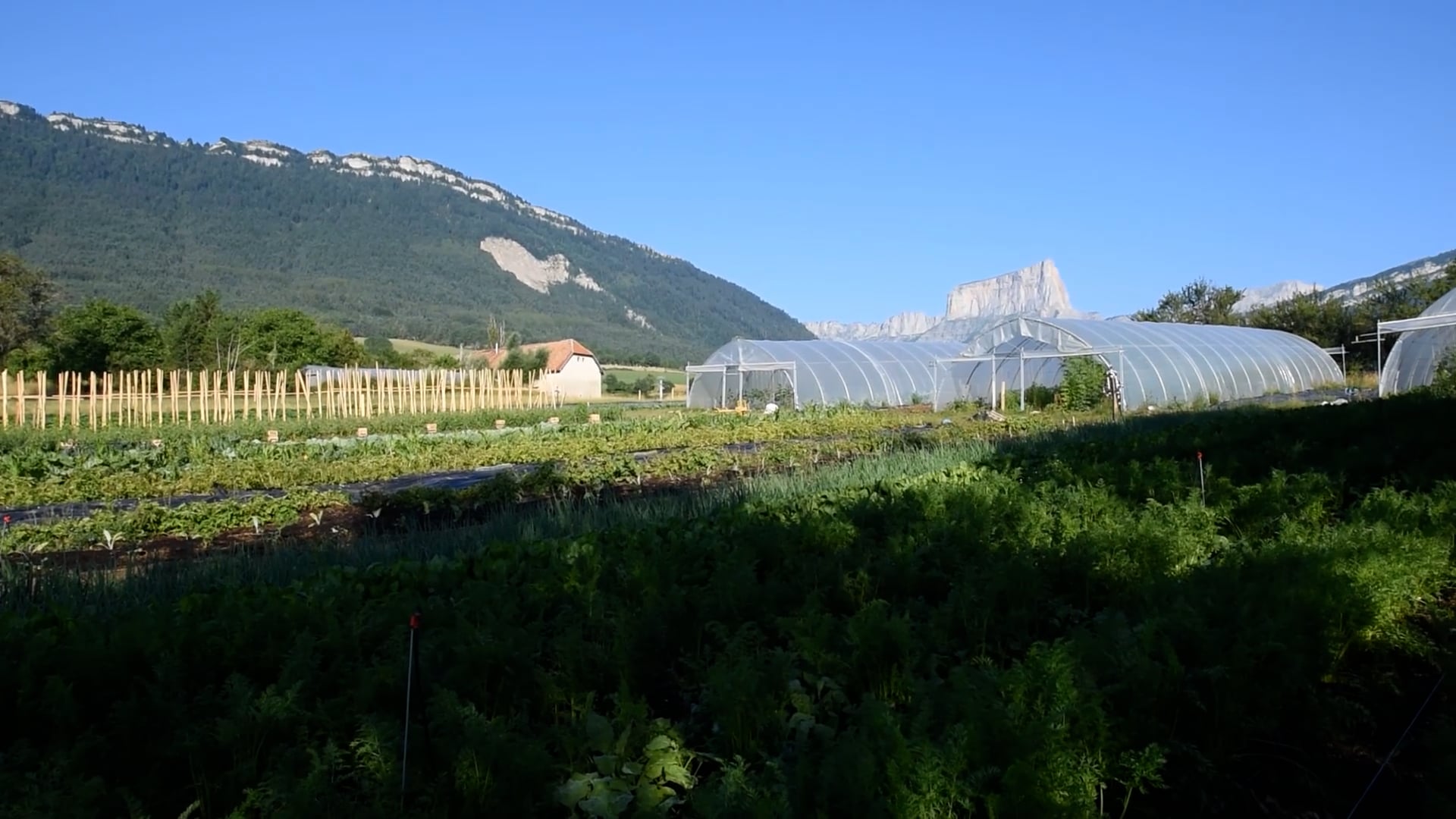 Maraîchage Ferme Montagne - Film par Obyom - Bistrot de la Place  à Clelles