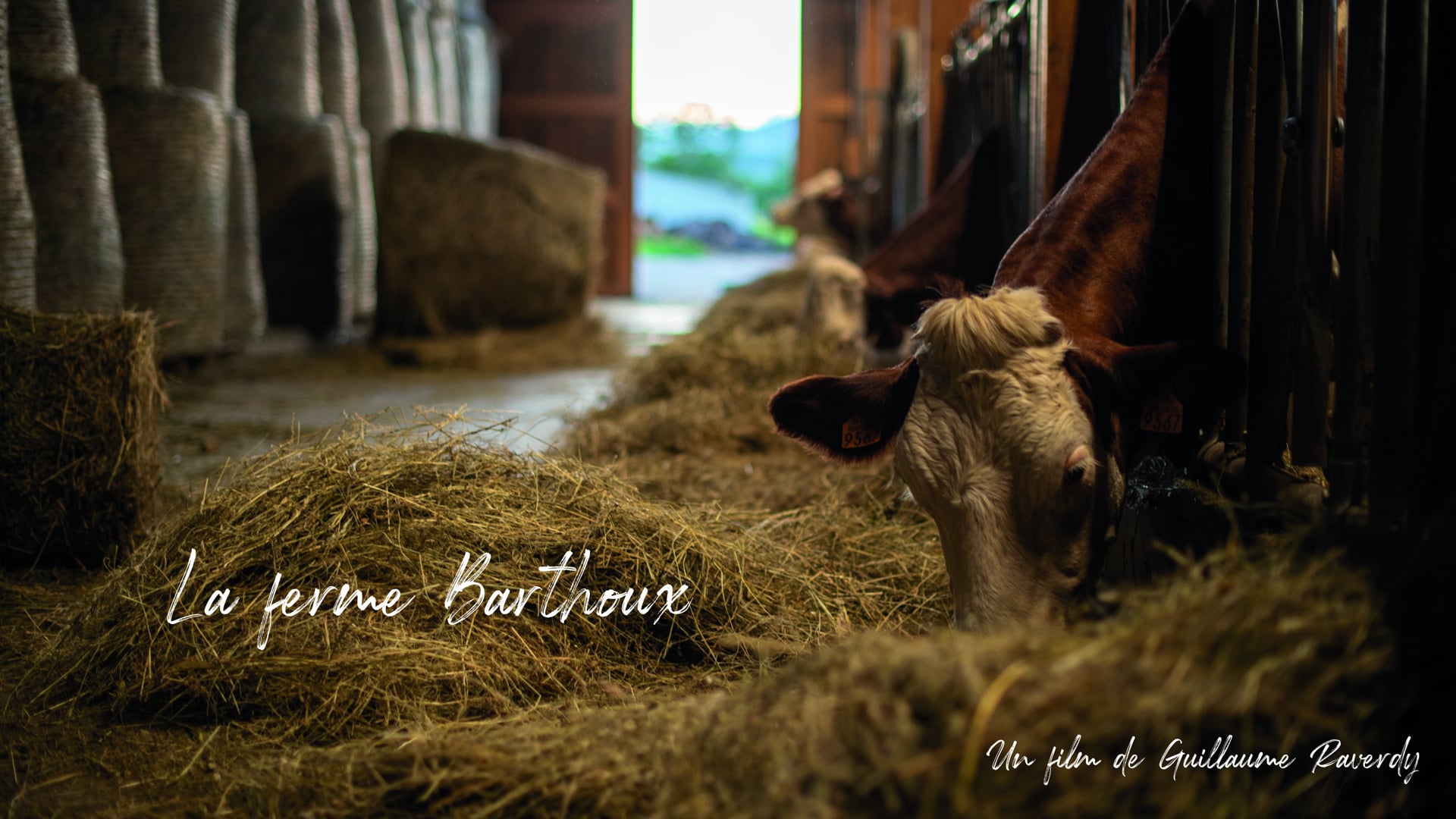 Ferme Barthoux à Saint-Michel-Les-Portes. Film par Obyom pour Le bistrot de la place à Clelles