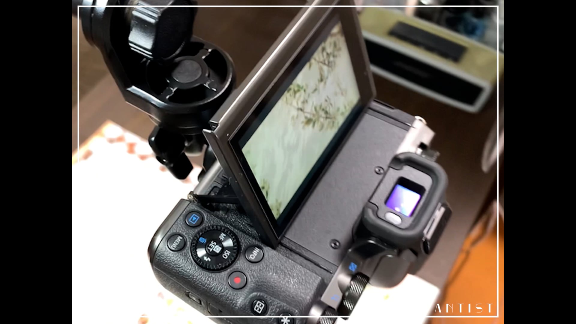 予告編動画のサムネイル画像