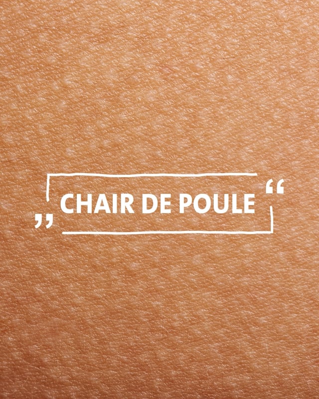 Le moment ENERGETIX_Chair de Poule