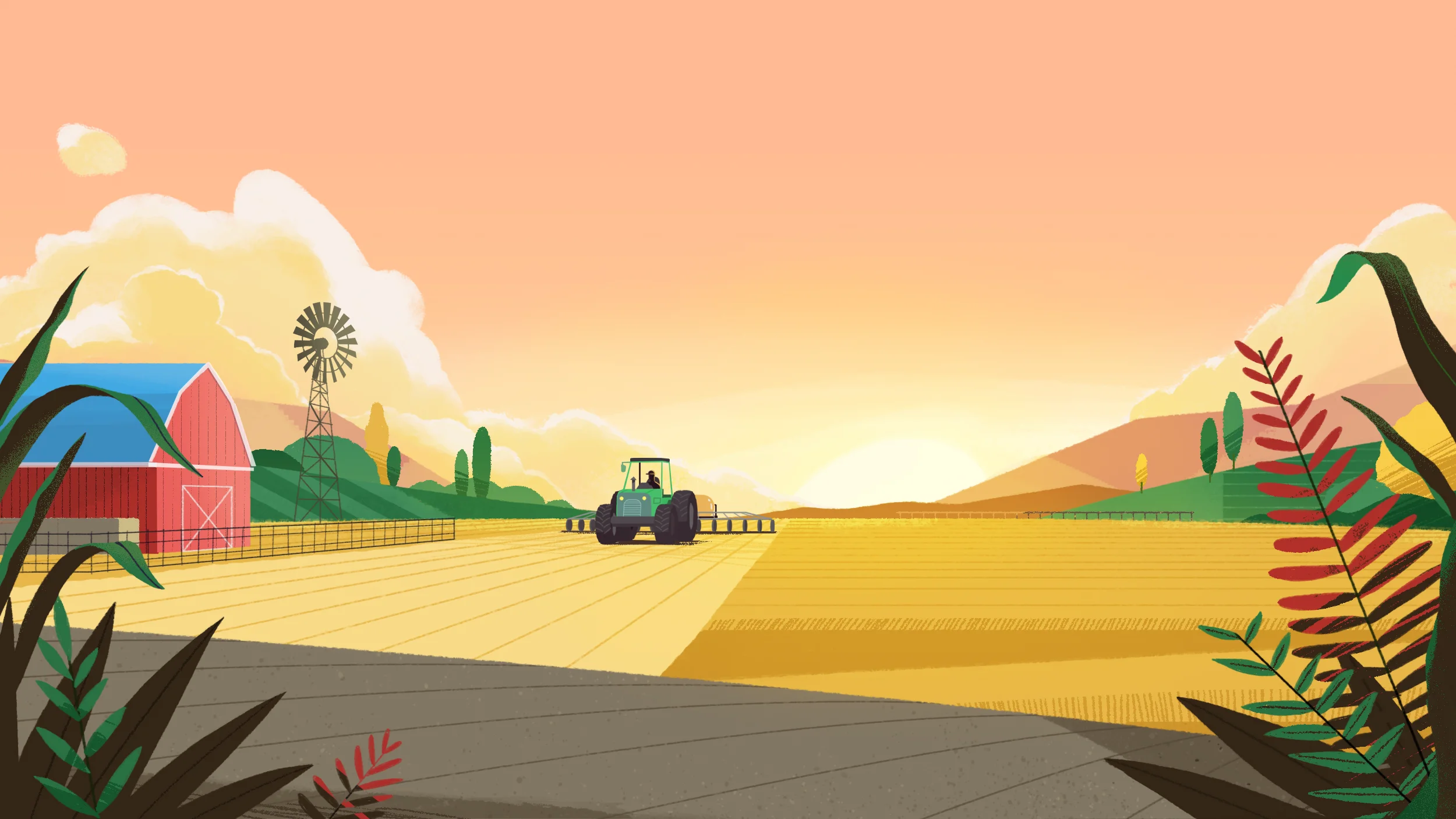 Dekalb - Seed by Seed on Vimeo