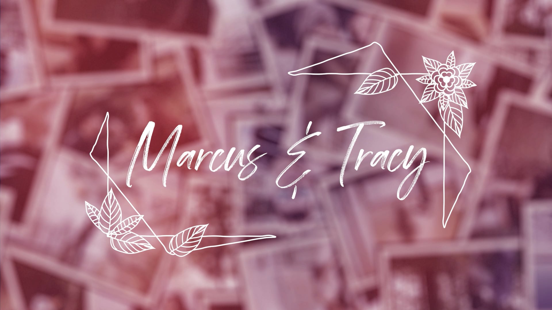 Marcus & Tracy Wedding Montage