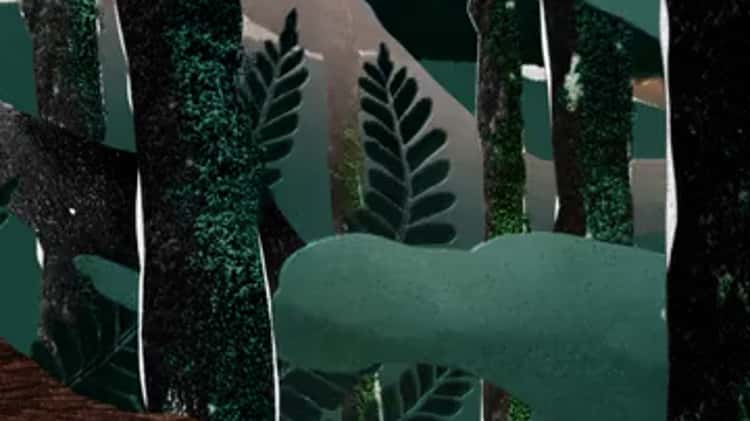 BAUM - Forests - Forest Dawn on Vimeo