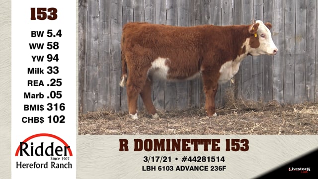 Lot #153 - R DOMINETTE 153