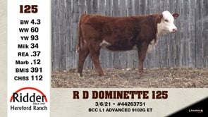 Lot #125 - R D DOMINETTE 125
