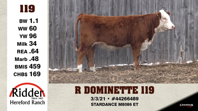 Lot #119 - R DOMINETTE 119