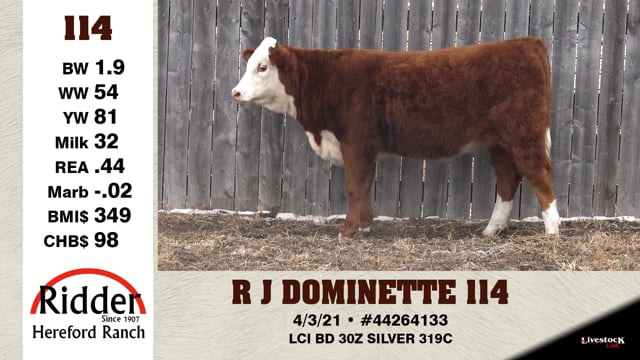 Lot #114 - R J DOMINETTE 114