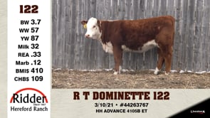 Lot #122 - R T DOMINETTE 122