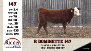 Lot #147 - R DOMINETTE 147