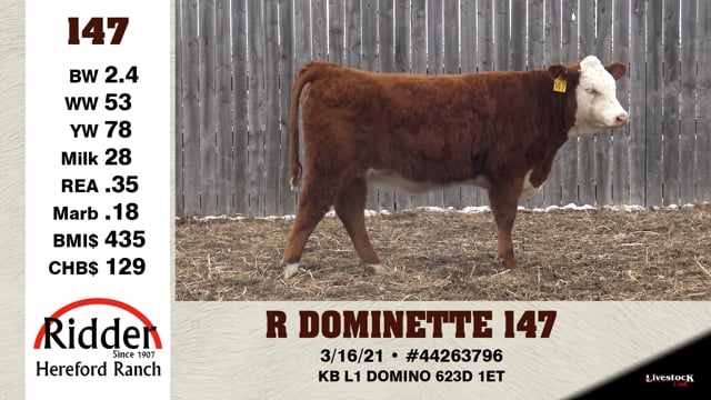 Lot #147 - R DOMINETTE 147