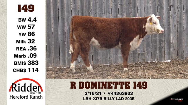 Lot #149 - R DOMINETTE 149