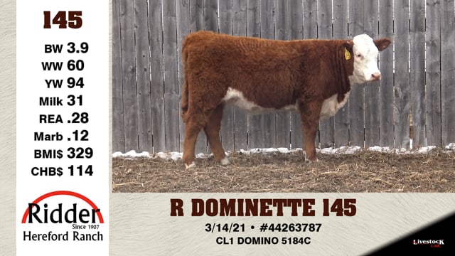 Lot #145 - R DOMINETTE 145