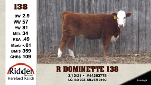 Lot #138 - R DOMINETTE 138