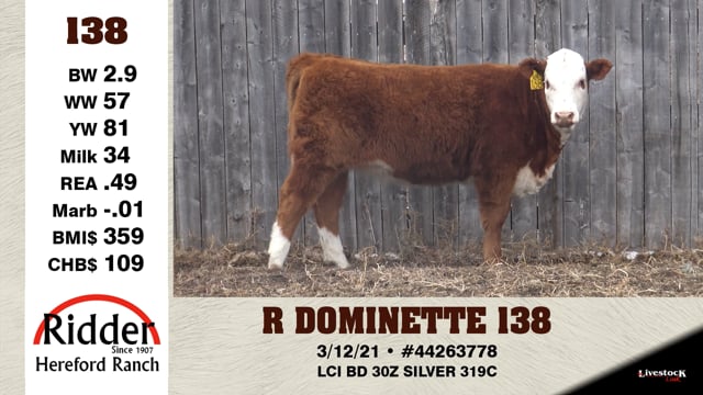 Lot #138 - R DOMINETTE 138