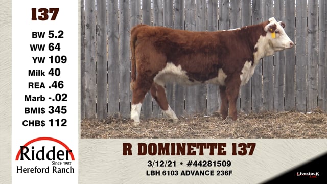 Lot #137 - R DOMINETTE 137