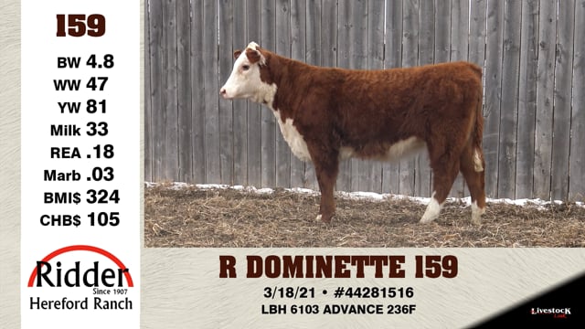 Lot #159 - R DOMINETTE 159