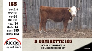 Lot #165 - R DOMINETTE 165