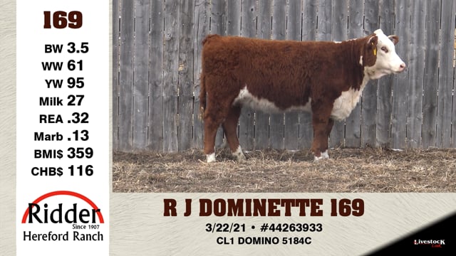 Lot #169 - R J DOMINETTE 169
