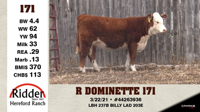 Lot #171 - R DOMINETTE 171