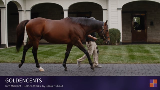 Goldencents Walking Video