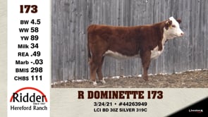 Lot #173 - R DOMINETTE 173