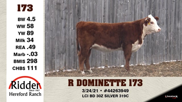 Lot #173 - R DOMINETTE 173