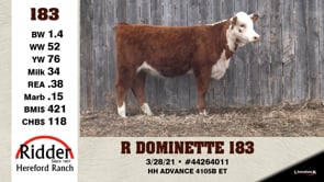 Lot #183 - R DOMINETTE 183