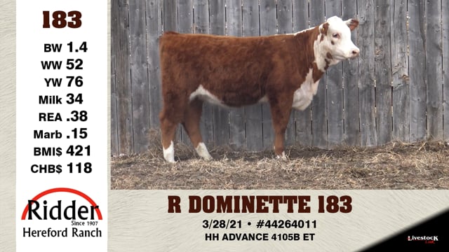 Lot #183 - R DOMINETTE 183