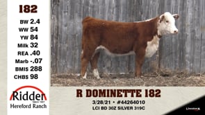Lot #182 - R DOMINETTE 182