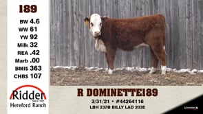 Lot #189 - R DOMINETTE 189