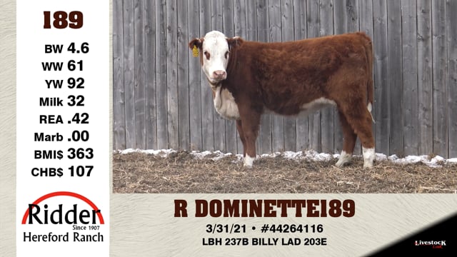 Lot #189 - R DOMINETTE 189