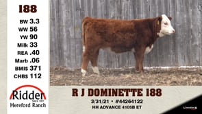 Lot #188 - R J DOMINETTE 188