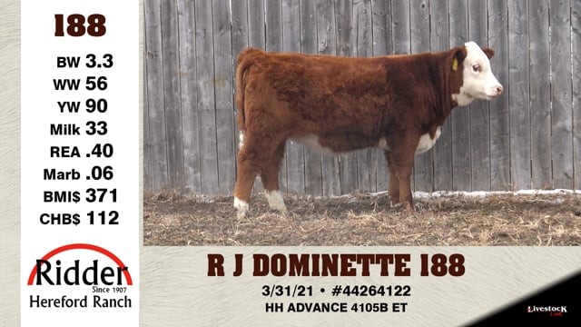 Lot #188 - R J DOMINETTE 188