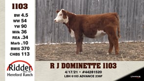 Lot #1103 - R J DOMINETTE 1103