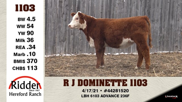 Lot #1103 - R J DOMINETTE 1103