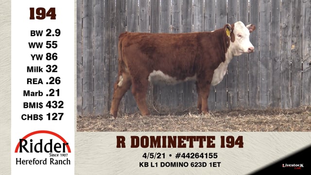 Lot #194 - R DOMINETTE 194