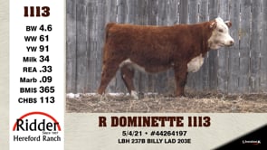 Lot #1113 - R DOMINETTE 1113