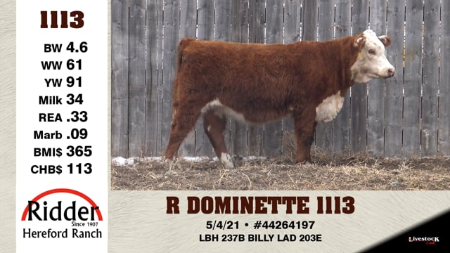 Lot #1113 - R DOMINETTE 1113