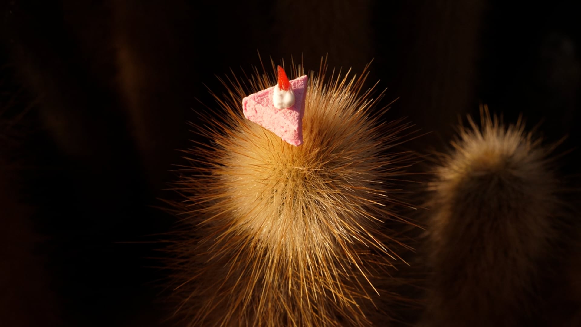 Un tiempo espléndido